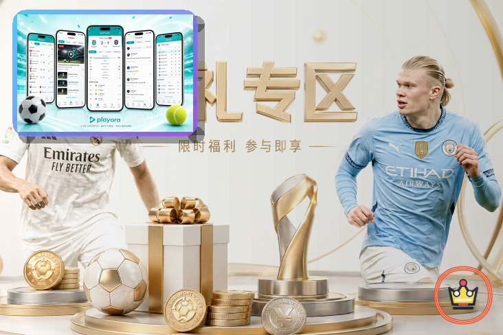 xingkong网页端访问页面展示